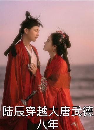 陆辰穿越大唐武德八年免费小说蓝色引力全文阅读