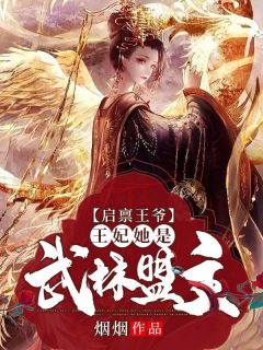 爆款小说烟烟《启禀王爷，王妃她是武林盟主》在线阅读