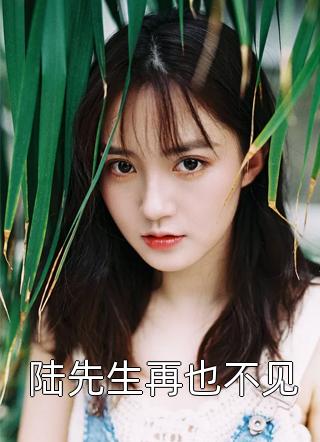 (全章节)陆先生再也不见-陆先生再也不见言四爷在线阅读