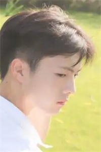 江陵陈楠《迟来的深情比草贱》江陵陈楠小说章节目录阅读