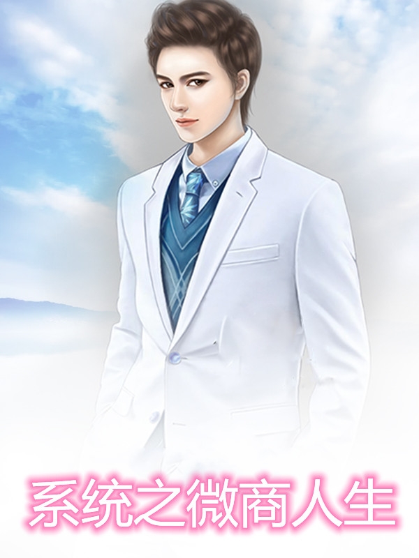 系统之微商人生