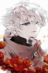 花都龙帅小说韩风小说全章节目录阅读