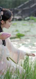 云漫歌君莫尘完整版全集内容免费阅读小说