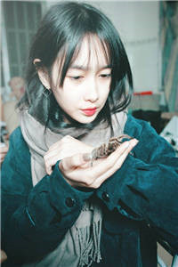 周倦陈秋最新章节小说免费阅读