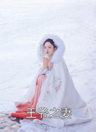 爆款小说小陌兮兮《王爷之妻》在线阅读