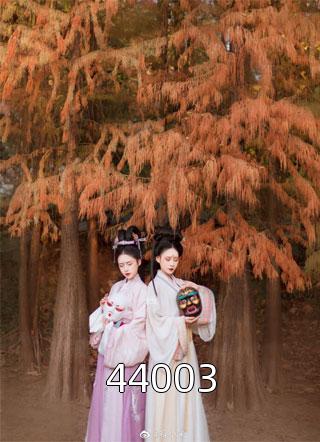 [完结]44003全章节阅读