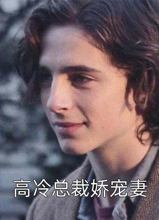 新上《高冷总裁娇宠妻》颜苏小说免费阅读