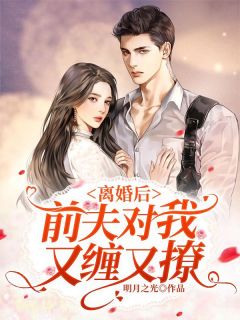 总裁追妻路漫漫by明月之光在线阅读