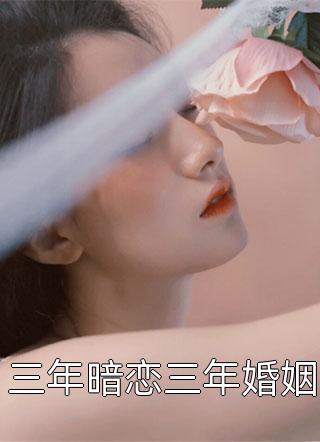 全章节小说三年暗恋三年婚姻蓝莓很酸最新阅读