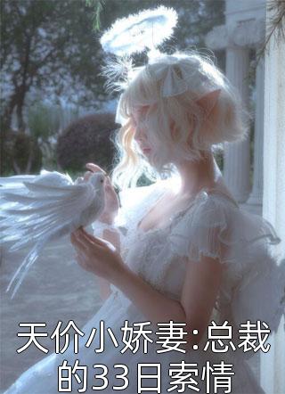 新上《天价小娇妻:总裁的33日索情》银小宝小说免费阅读
