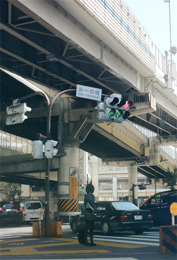 林随州江糖全集小说内容免费阅读