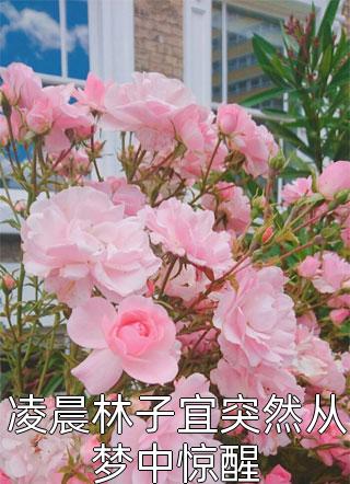 爆款小说榴芒《凌晨林子宜突然从梦中惊醒》在线阅读