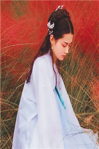 我迟早要死在你床上(江紫芙傅乔)小说txt全文阅读