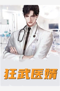 狂武医婿