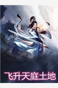 飞升天庭土地