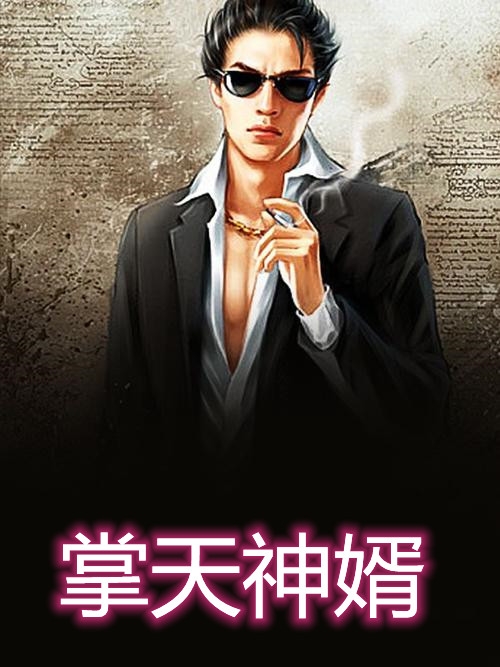 掌天神婿