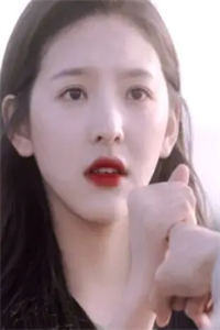 虞枝枝齐琰小说完整版阅读