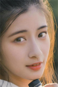 完美人生柳树生小说全文完结版阅读