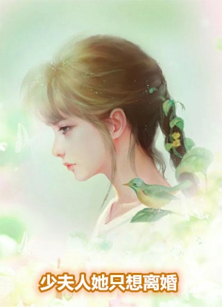 少夫人她只想离婚