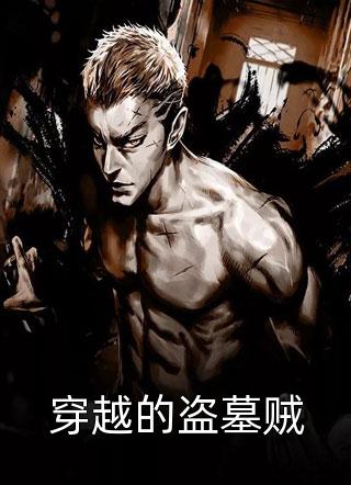 城外写的小说穿越的盗墓贼小说全文阅读