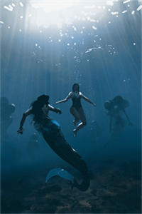 对局最新小说_唐诚胡梦柔全本阅读