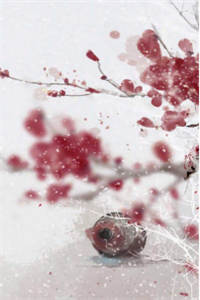 《我与谢重楼定亲十六载》谢重楼陆昭懿无广告阅读全文