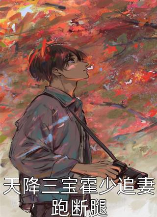 天降三宝霍少追妻跑断腿岁轻轻小说最新章节阅读