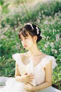 《许你爱慕我》陆尧苏迎小说完整章节目录阅读