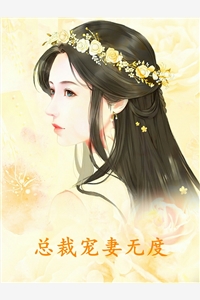 总裁宠妻无度小说