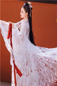 龙少娇妻很上道唐心洛龙仟小说（完整版）阅读