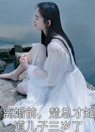 离婚前，楚总才知道儿子三岁了小说全文豆丁丁免费阅读