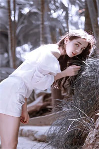 《苏夏夏沈清河》苏夏夏沈清河最新章节小说全文阅读