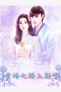 官场之踏上颠峰