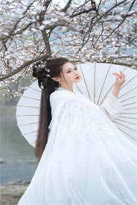 徐子仪周琼月-引银瓶徐子仪（徐子仪周琼月）全文全章节小说阅读