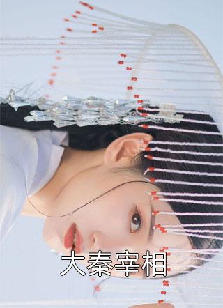 大秦宰相牧尘客小说免费阅读