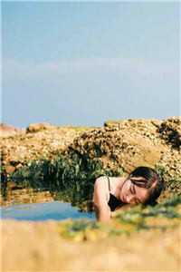 至此青山小说沈颜傅司蘅完结版章节目录阅读