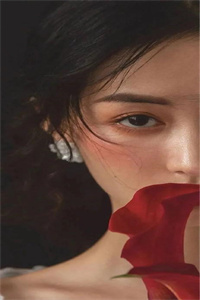 苏尘陈伽蓝《女儿跳楼后，我重生了》小说全章节目录阅读