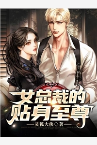 灵狐大侠的小说女总裁的贴身至尊萧凡全文阅读