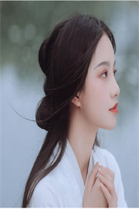 皎若云间月叶沐岚云宸逸章节目录小说阅读