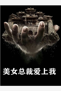 孤狼之歌的小说美女总裁爱上我陆明君林芷瑶全文阅读