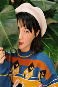 锦衣之下（完结版小说）沈高飞全章节在线阅读