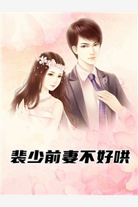 裴少前妻不好哄