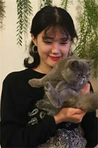 吸血鬼妄想(江执月月陆锡张晴)全文小说完结版阅读