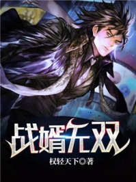 战婿无双