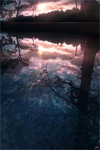 《梦想喂不饱的他》全章节小说_叶敏顾续尘大结局阅读