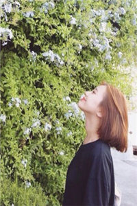 重启影视歌天王完整版在线阅读(主角江辰苏蕊李啄雪)