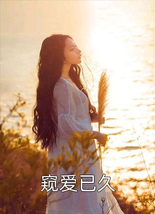 好看的窥爱已久小说_窥爱已久最新章节阅读