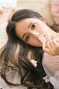 何清沈逸完结版小说阅读