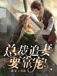 总裁，追妻要靠宠！小说 总裁，追妻要靠宠！免费阅读