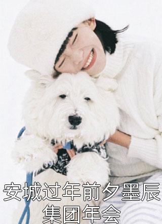 全章节小说安城过年前夕墨辰集团年会庭前花最新阅读